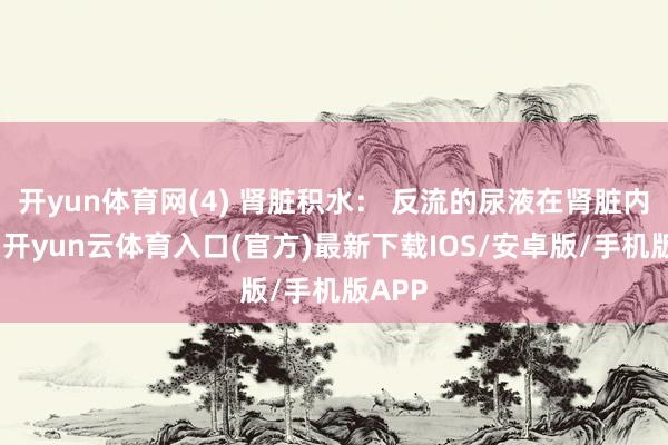 开yun体育网(4) 肾脏积水： 反流的尿液在肾脏内积蓄-开yun云体育入口(官方)最新下载IOS/安卓版/手机版APP