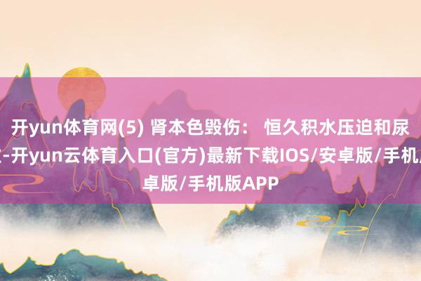开yun体育网(5) 肾本色毁伤： 恒久积水压迫和尿液刺激-开yun云体育入口(官方)最新下载IOS/安卓版/手机版APP