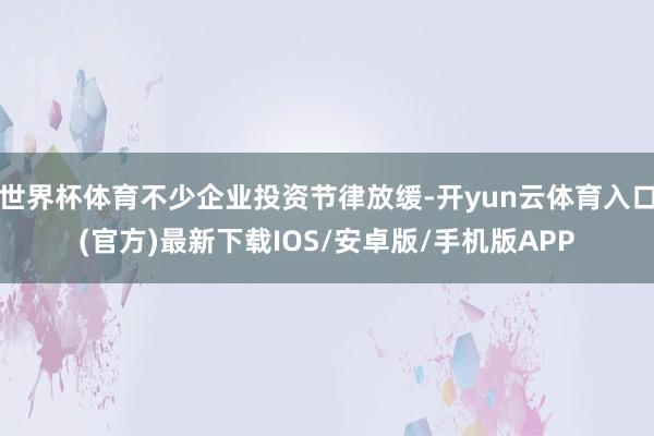 世界杯体育不少企业投资节律放缓-开yun云体育入口(官方)最新下载IOS/安卓版/手机版APP